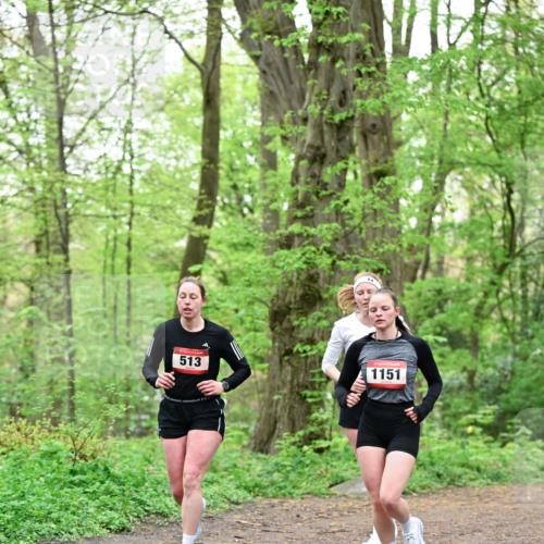 19.04.2026 - Hammer Lauf Dr. Thomas Lammeyer http://msf.ph/oto/9552406 19.04.2026 12:05:59 Laufen 513, 1151 meine-sportfotos.de