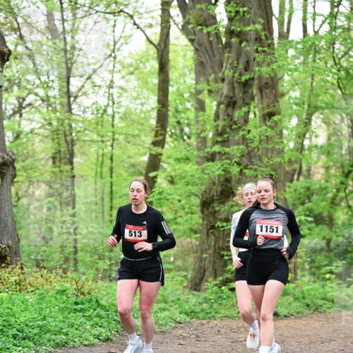 19.04.2026 - Hammer Lauf Dr. Thomas Lammeyer http://msf.ph/oto/9552408 19.04.2026 12:05:59 Laufen 513, 1151 meine-sportfotos.de