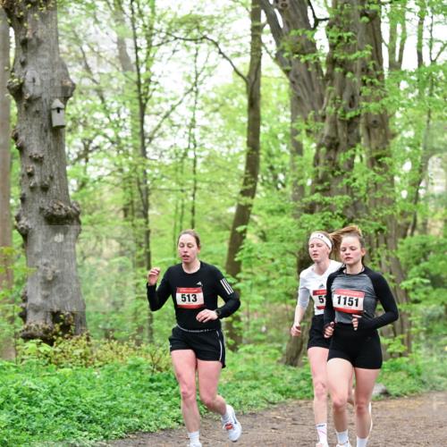 19.04.2026 - Hammer Lauf Dr. Thomas Lammeyer http://msf.ph/oto/9552409 19.04.2026 12:05:59 Laufen 513, 1151 meine-sportfotos.de