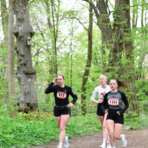 19.04.2026 - Hammer Lauf Dr. Thomas Lammeyer http://msf.ph/oto/9552412 19.04.2026 12:05:59 Laufen 513, 1151 meine-sportfotos.de