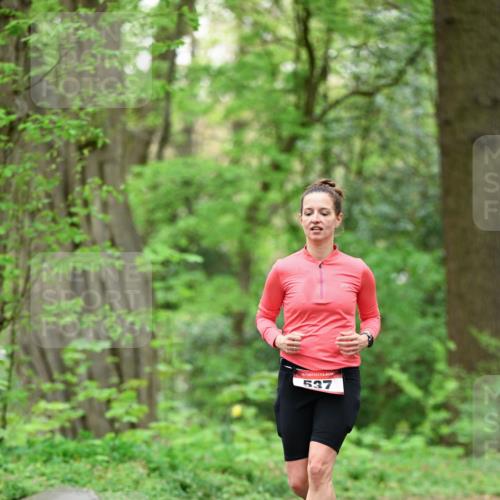 19.04.2026 - Hammer Lauf Dr. Thomas Lammeyer http://msf.ph/oto/9552532 19.04.2026 12:07:09 Laufen 537 meine-sportfotos.de