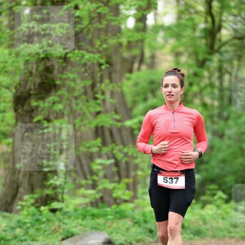 19.04.2026 - Hammer Lauf Dr. Thomas Lammeyer http://msf.ph/oto/9552538 19.04.2026 12:07:09 Laufen 537 meine-sportfotos.de