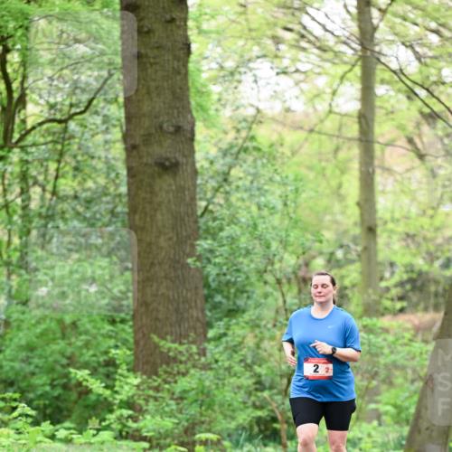 19.04.2026 - Hammer Lauf Dr. Thomas Lammeyer http://msf.ph/oto/9552598 19.04.2026 12:07:47 Laufen  meine-sportfotos.de