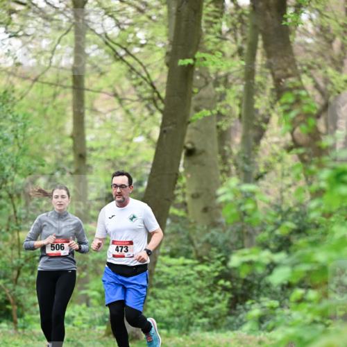 19.04.2026 - Hammer Lauf Dr. Thomas Lammeyer http://msf.ph/oto/9552626 19.04.2026 12:07:55 Laufen 506, 473, 200 meine-sportfotos.de