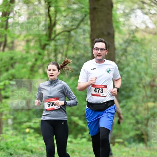 19.04.2026 - Hammer Lauf Dr. Thomas Lammeyer http://msf.ph/oto/9552642 19.04.2026 12:07:59 Laufen 210, 473, 209 meine-sportfotos.de