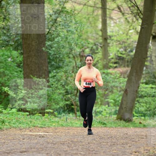 19.04.2026 - Hammer Lauf Dr. Thomas Lammeyer http://msf.ph/oto/9552677 19.04.2026 12:08:22 Laufen 646 meine-sportfotos.de