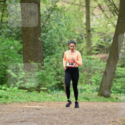 19.04.2026 - Hammer Lauf Dr. Thomas Lammeyer http://msf.ph/oto/9552678 19.04.2026 12:08:22 Laufen 646 meine-sportfotos.de
