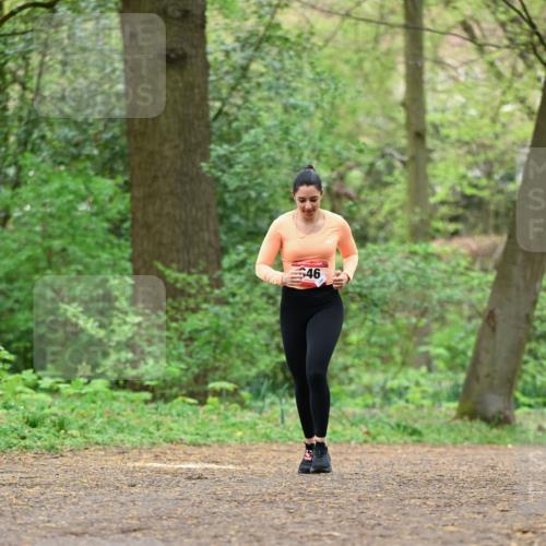19.04.2026 - Hammer Lauf Dr. Thomas Lammeyer http://msf.ph/oto/9552679 19.04.2026 12:08:23 Laufen  meine-sportfotos.de