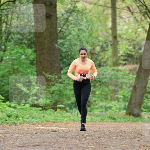 19.04.2026 - Hammer Lauf Dr. Thomas Lammeyer http://msf.ph/oto/9552683 19.04.2026 12:08:23 Laufen 646 meine-sportfotos.de
