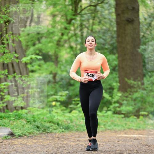 19.04.2026 - Hammer Lauf Dr. Thomas Lammeyer http://msf.ph/oto/9552686 19.04.2026 12:08:25 Laufen 646 meine-sportfotos.de