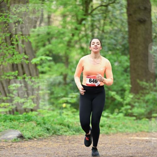 19.04.2026 - Hammer Lauf Dr. Thomas Lammeyer http://msf.ph/oto/9552688 19.04.2026 12:08:25 Laufen 646 meine-sportfotos.de