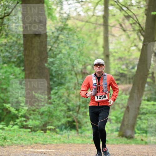 19.04.2026 - Hammer Lauf Dr. Thomas Lammeyer http://msf.ph/oto/9552723 19.04.2026 12:09:07 Laufen 1296 meine-sportfotos.de