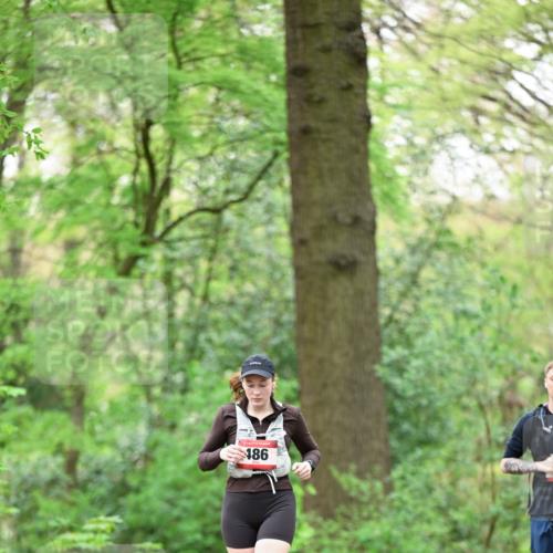 19.04.2026 - Hammer Lauf Dr. Thomas Lammeyer http://msf.ph/oto/9553036 19.04.2026 12:14:36 Laufen 486, 1996 meine-sportfotos.de