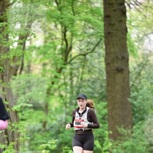 19.04.2026 - Hammer Lauf Dr. Thomas Lammeyer http://msf.ph/oto/9553038 19.04.2026 12:14:36 Laufen 486 meine-sportfotos.de