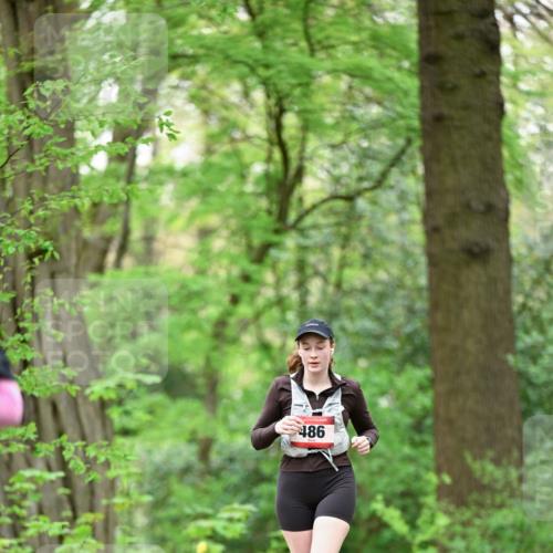 19.04.2026 - Hammer Lauf Dr. Thomas Lammeyer http://msf.ph/oto/9553040 19.04.2026 12:14:36 Laufen 486 meine-sportfotos.de