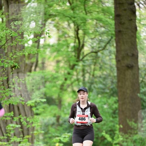 19.04.2026 - Hammer Lauf Dr. Thomas Lammeyer http://msf.ph/oto/9553041 19.04.2026 12:14:36 Laufen 486 meine-sportfotos.de