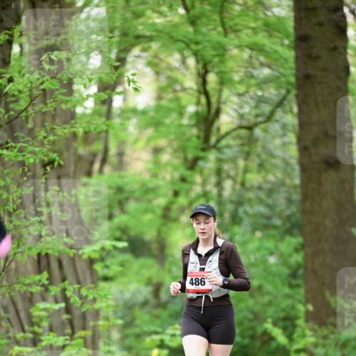 19.04.2026 - Hammer Lauf Dr. Thomas Lammeyer http://msf.ph/oto/9553042 19.04.2026 12:14:37 Laufen 486 meine-sportfotos.de