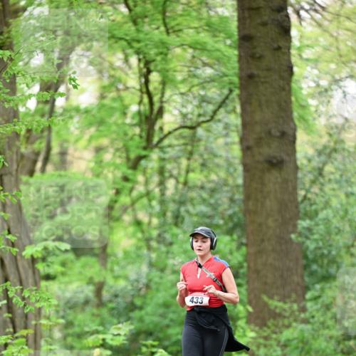 19.04.2026 - Hammer Lauf Dr. Thomas Lammeyer http://msf.ph/oto/9553067 19.04.2026 12:14:48 Laufen 433 meine-sportfotos.de