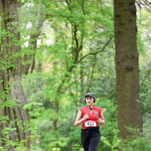19.04.2026 - Hammer Lauf Dr. Thomas Lammeyer http://msf.ph/oto/9553069 19.04.2026 12:14:48 Laufen 433 meine-sportfotos.de