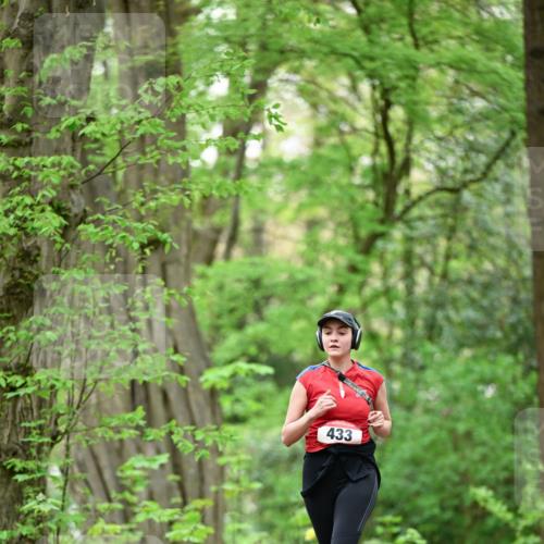 19.04.2026 - Hammer Lauf Dr. Thomas Lammeyer http://msf.ph/oto/9553073 19.04.2026 12:14:48 Laufen 433 meine-sportfotos.de