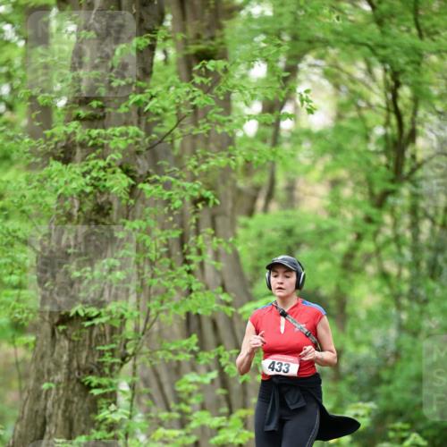 19.04.2026 - Hammer Lauf Dr. Thomas Lammeyer http://msf.ph/oto/9553078 19.04.2026 12:14:49 Laufen 433 meine-sportfotos.de