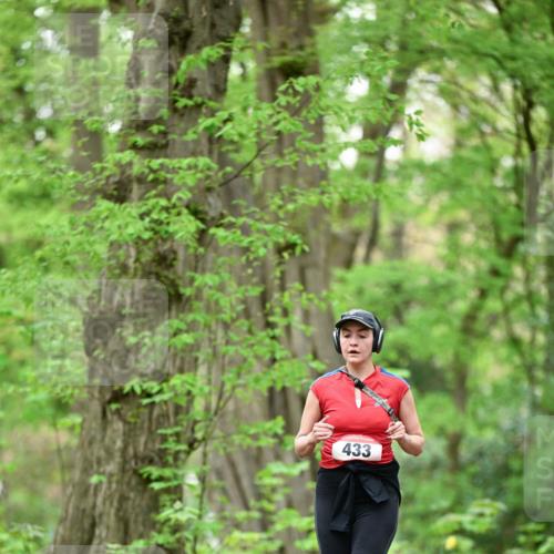 19.04.2026 - Hammer Lauf Dr. Thomas Lammeyer http://msf.ph/oto/9553081 19.04.2026 12:14:49 Laufen 433 meine-sportfotos.de
