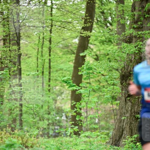 19.04.2026 - Hammer Lauf Dr. Thomas Lammeyer http://msf.ph/oto/9553108 19.04.2026 12:14:56 Laufen  meine-sportfotos.de