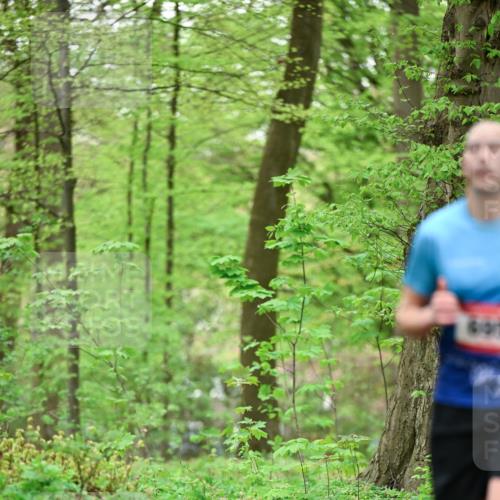19.04.2026 - Hammer Lauf Dr. Thomas Lammeyer http://msf.ph/oto/9553109 19.04.2026 12:14:56 Laufen  meine-sportfotos.de