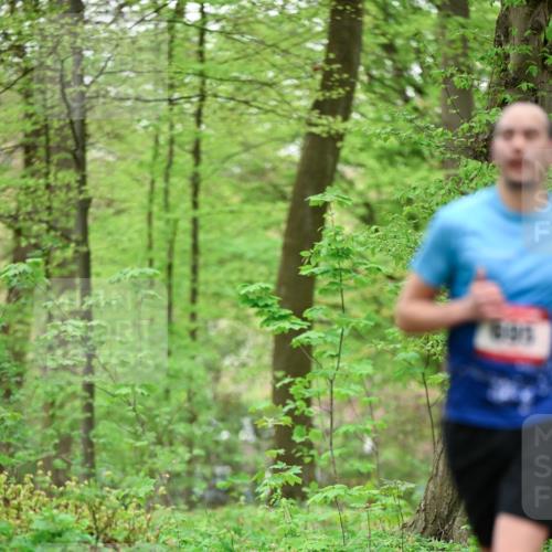 19.04.2026 - Hammer Lauf Dr. Thomas Lammeyer http://msf.ph/oto/9553111 19.04.2026 12:14:56 Laufen  meine-sportfotos.de