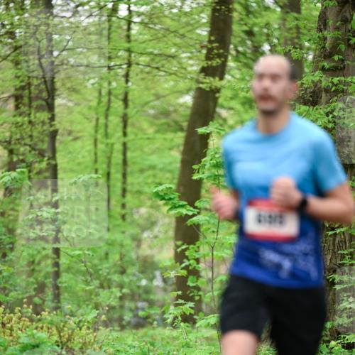 19.04.2026 - Hammer Lauf Dr. Thomas Lammeyer http://msf.ph/oto/9553113 19.04.2026 12:14:56 Laufen  meine-sportfotos.de
