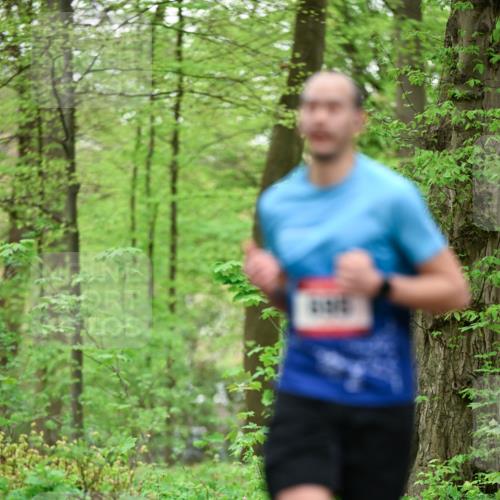 19.04.2026 - Hammer Lauf Dr. Thomas Lammeyer http://msf.ph/oto/9553115 19.04.2026 12:14:56 Laufen  meine-sportfotos.de