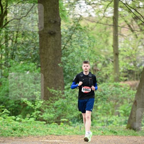 19.04.2026 - Hammer Lauf Dr. Thomas Lammeyer http://msf.ph/oto/9553120 19.04.2026 12:15:10 Laufen 1085 meine-sportfotos.de