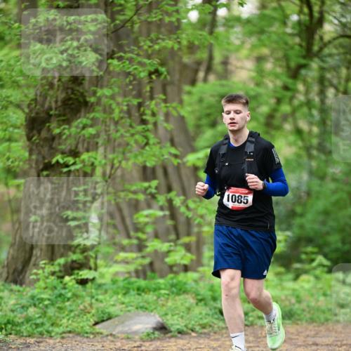 19.04.2026 - Hammer Lauf Dr. Thomas Lammeyer http://msf.ph/oto/9553142 19.04.2026 12:15:14 Laufen 1085 meine-sportfotos.de