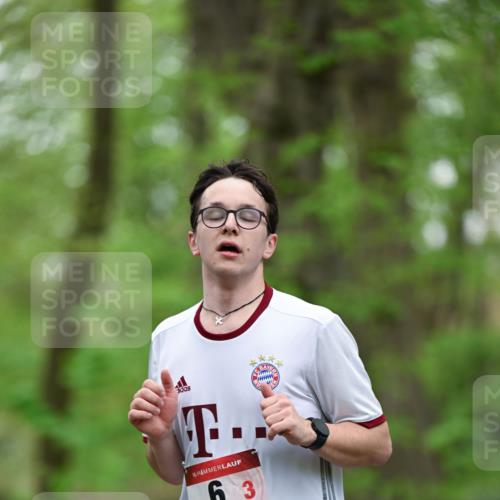 19.04.2026 - Hammer Lauf Dr. Thomas Lammeyer http://msf.ph/oto/9553204 19.04.2026 12:16:03 Laufen  meine-sportfotos.de