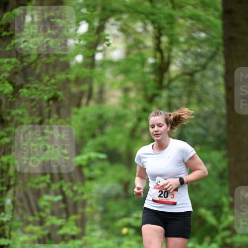 19.04.2026 - Hammer Lauf Dr. Thomas Lammeyer http://msf.ph/oto/9553208 19.04.2026 12:16:06 Laufen 203 meine-sportfotos.de