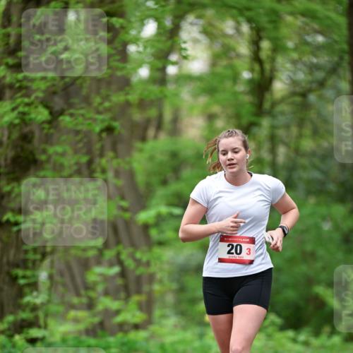 19.04.2026 - Hammer Lauf Dr. Thomas Lammeyer http://msf.ph/oto/9553210 19.04.2026 12:16:06 Laufen  meine-sportfotos.de