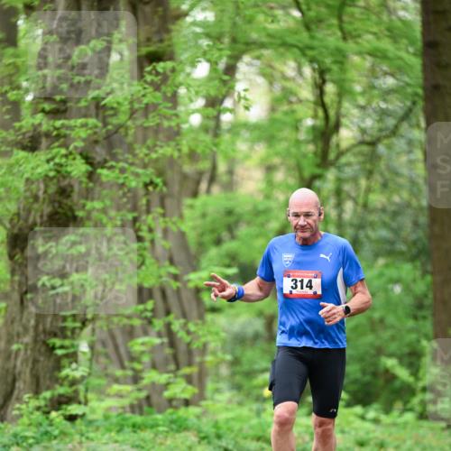 19.04.2026 - Hammer Lauf Dr. Thomas Lammeyer http://msf.ph/oto/9553288 19.04.2026 12:17:32 Laufen 314 meine-sportfotos.de