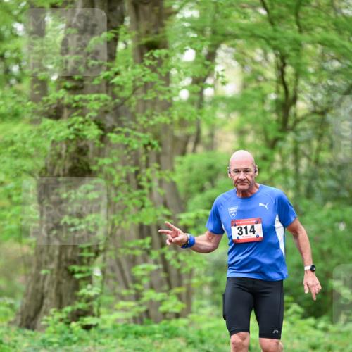 19.04.2026 - Hammer Lauf Dr. Thomas Lammeyer http://msf.ph/oto/9553293 19.04.2026 12:17:32 Laufen 314 meine-sportfotos.de