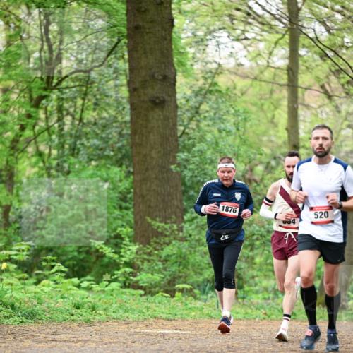 19.04.2026 - Hammer Lauf Dr. Thomas Lammeyer http://msf.ph/oto/9553331 19.04.2026 12:18:03 Laufen 1876, 520, 004 meine-sportfotos.de
