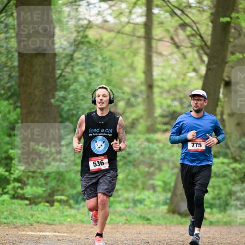 19.04.2026 - Hammer Lauf Dr. Thomas Lammeyer http://msf.ph/oto/9553685 19.04.2026 12:23:42 Laufen 775, 536 meine-sportfotos.de