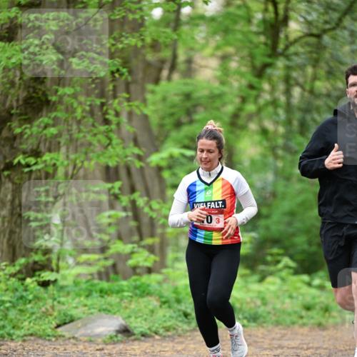 19.04.2026 - Hammer Lauf Dr. Thomas Lammeyer http://msf.ph/oto/9553937 19.04.2026 12:26:38 Laufen  meine-sportfotos.de