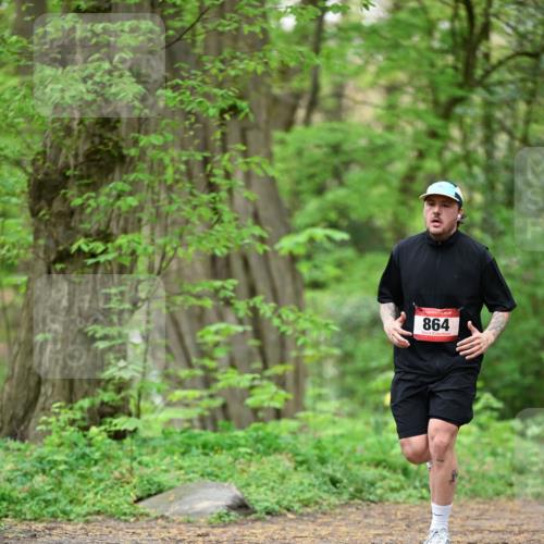 19.04.2026 - Hammer Lauf Dr. Thomas Lammeyer http://msf.ph/oto/9553979 19.04.2026 12:27:15 Laufen 864 meine-sportfotos.de