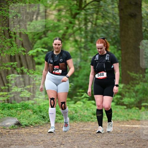 19.04.2026 - Hammer Lauf Dr. Thomas Lammeyer http://msf.ph/oto/9554007 19.04.2026 12:27:21 Laufen 588 meine-sportfotos.de