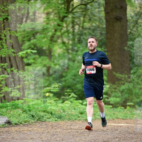 19.04.2026 - Hammer Lauf Dr. Thomas Lammeyer http://msf.ph/oto/9554033 19.04.2026 12:28:06 Laufen 1066, 176 meine-sportfotos.de