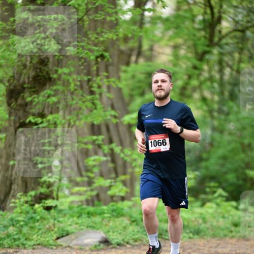 19.04.2026 - Hammer Lauf Dr. Thomas Lammeyer http://msf.ph/oto/9554043 19.04.2026 12:28:08 Laufen 1066 meine-sportfotos.de