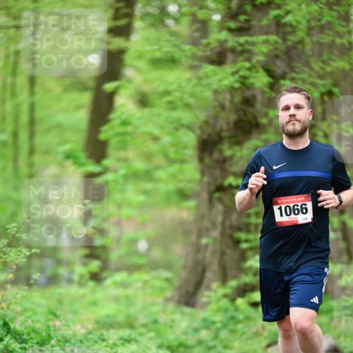 19.04.2026 - Hammer Lauf Dr. Thomas Lammeyer http://msf.ph/oto/9554051 19.04.2026 12:28:09 Laufen 1066, 176 meine-sportfotos.de