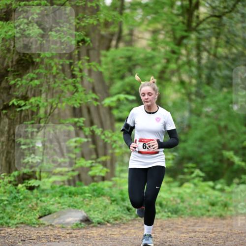 19.04.2026 - Hammer Lauf Dr. Thomas Lammeyer http://msf.ph/oto/9554059 19.04.2026 12:28:18 Laufen  meine-sportfotos.de