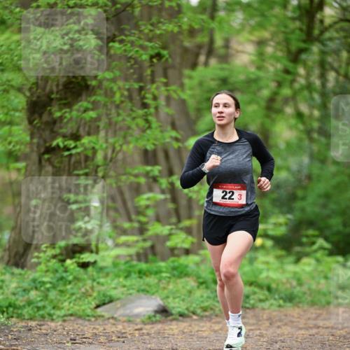 19.04.2026 - Hammer Lauf Dr. Thomas Lammeyer http://msf.ph/oto/9554072 19.04.2026 12:28:20 Laufen  meine-sportfotos.de