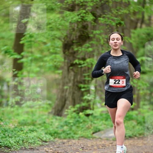 19.04.2026 - Hammer Lauf Dr. Thomas Lammeyer http://msf.ph/oto/9554078 19.04.2026 12:28:21 Laufen 223 meine-sportfotos.de