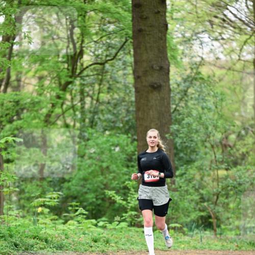 19.04.2026 - Hammer Lauf Dr. Thomas Lammeyer http://msf.ph/oto/9554248 19.04.2026 12:29:40 Laufen  meine-sportfotos.de